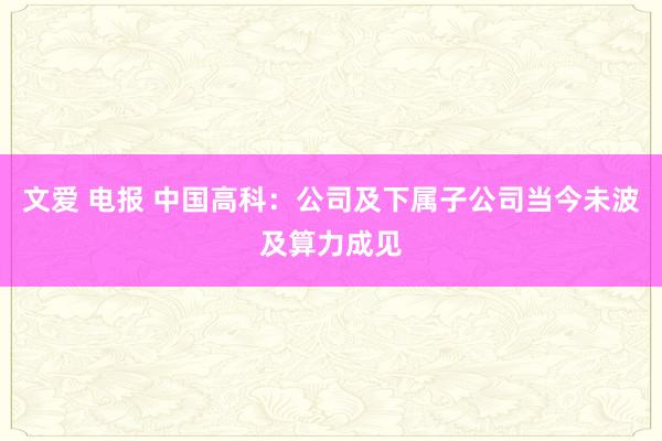 文爱 电报 中国高科：公司及下属子公司当今未波及算力成见