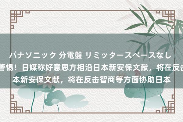 パナソニック 分電盤 リミッタースペースなし 露出・半埋込両用形 警惕！日媒称好意思方相沿日本新安保文献，将在反击智商等方面协助日本