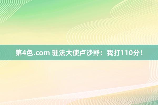 第4色.com 驻法大使卢沙野：我打110分！