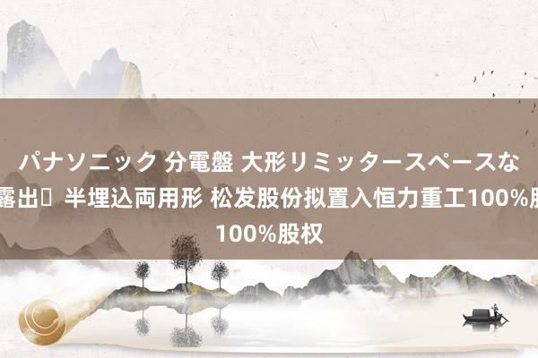 パナソニック 分電盤 大形リミッタースペースなし 露出・半埋込両用形 松发股份拟置入恒力重工100%股权