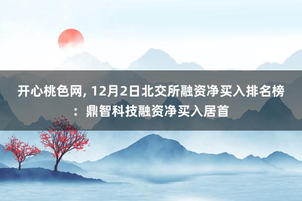 开心桃色网， 12月2日北交所融资净买入排名榜：鼎智科技融资净买入居首