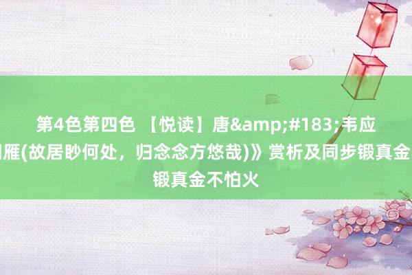 第4色第四色 【悦读】唐&#183;韦应物《闻雁(故居眇何处，归念念方悠哉)》赏析及同步锻真金不怕火