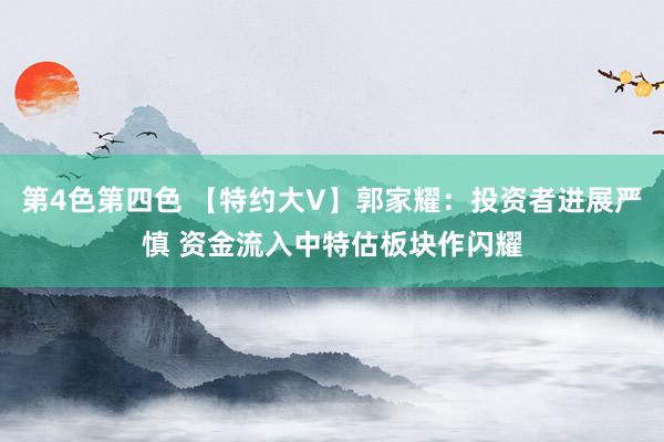 第4色第四色 【特约大V】郭家耀：投资者进展严慎 资金流入中特估板块作闪耀
