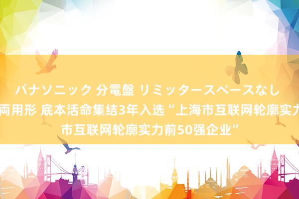 パナソニック 分電盤 リミッタースペースなし 露出・半埋込両用形 底本活命集结3年入选“上海市互联网轮廓实力前50强企业”