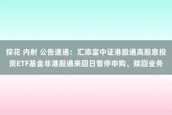 探花 内射 公告速递:汇添富中证港股通高股息投资ETF基金非港股通来回日暂停申购、赎回业务