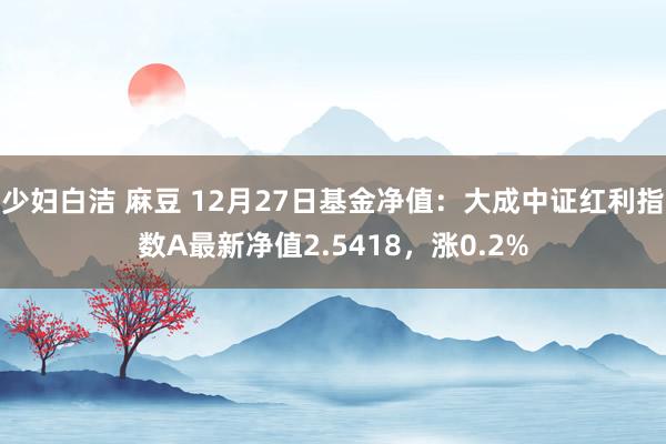 少妇白洁 麻豆 12月27日基金净值：大成中证红利指数A最新净值2.5418，涨0.2%