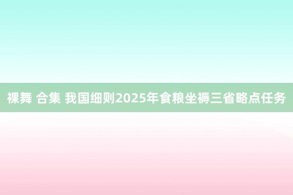裸舞 合集 我国细则2025年食粮坐褥三省略点任务