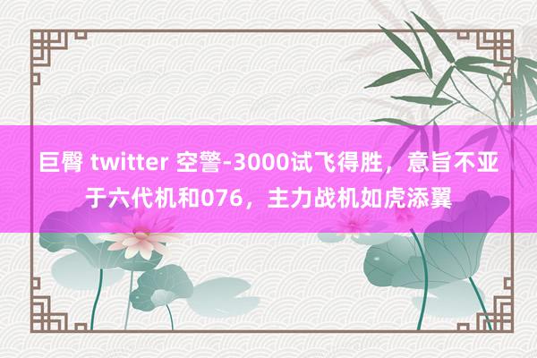 巨臀 twitter 空警-3000试飞得胜，意旨不亚于六代机和076，主力战机如虎添翼