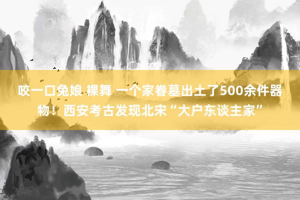 咬一口兔娘 裸舞 一个家眷墓出土了500余件器物！西安考古发现北宋“大户东谈主家”