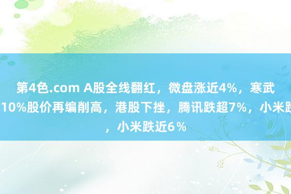 第4色.com A股全线翻红，微盘涨近4%，寒武纪涨超10%股价再编削高，港股下挫，腾讯跌超7%，小米跌近6％