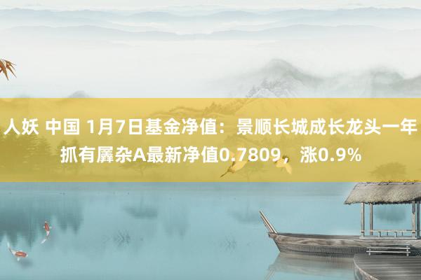 人妖 中国 1月7日基金净值：景顺长城成长龙头一年抓有羼杂A最新净值0.7809，涨0.9%