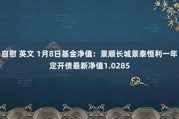 自慰 英文 1月8日基金净值：景顺长城景泰恒利一年定开债最新净值1.0285