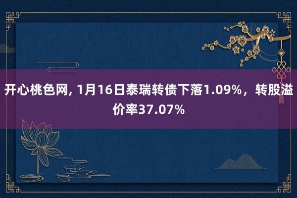 开心桃色网, 1月16日泰瑞转债下落1.09%，转股溢价率37.07%
