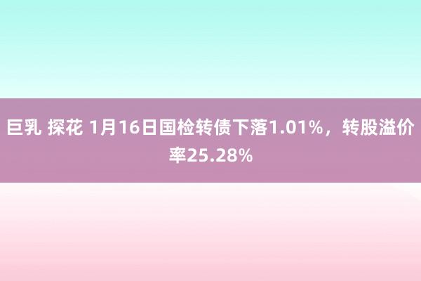 巨乳 探花 1月16日国检转债下落1.01%，转股溢价率25.28%