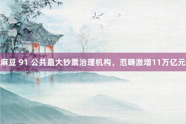 麻豆 91 公共最大钞票治理机构，范畴激增11万亿元