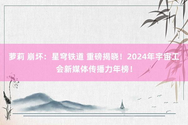 萝莉 崩坏：星穹铁道 重磅揭晓！2024年宇宙工会新媒体传播力年榜！
