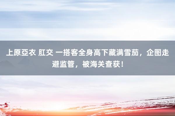 上原亞衣 肛交 一搭客全身高下藏满雪茄，企图走避监管，被海关查获！