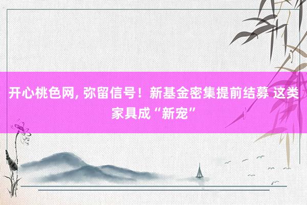 开心桃色网， 弥留信号！新基金密集提前结募 这类家具成“新宠”