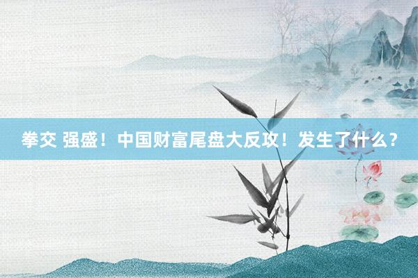 拳交 强盛！中国财富尾盘大反攻！发生了什么？