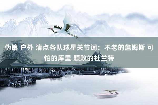 伪娘 户外 清点各队球星关节词：不老的詹姆斯 可怕的库里 颓败的杜兰特