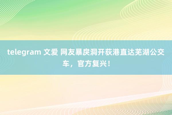 telegram 文爱 网友暴戾洞开荻港直达芜湖公交车，官方复兴！