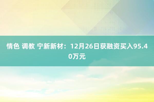 情色 调教 宁新新材：12月26日获融资买入95.40万元