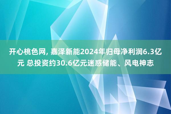 开心桃色网， 嘉泽新能2024年归母净利润6.3亿元 总投资约30.6亿元迷惑储能、风电神志