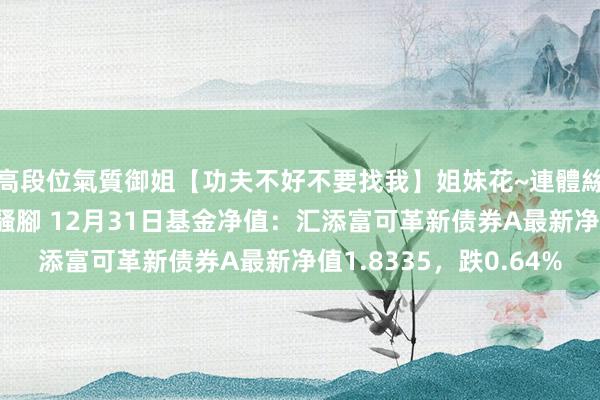 高段位氣質御姐【功夫不好不要找我】姐妹花~連體絲襪~大奶晃動~絲襪騷腳 12月31日基金净值：汇添富可革新债券A最新净值1.8335，跌0.64%