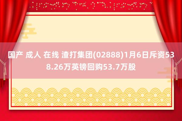 国产 成人 在线 渣打集团(02888)1月6日斥资538.26万英镑回购53.7万股