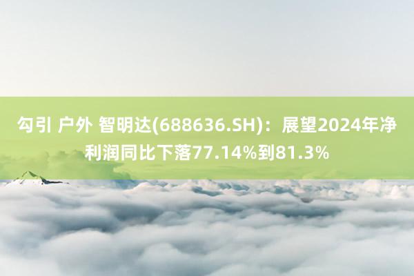 勾引 户外 智明达(688636.SH)：展望2024年净利润同比下落77.14%到81.3%