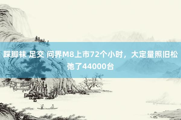 踩脚袜 足交 问界M8上市72个小时，大定量照旧松弛了44000台