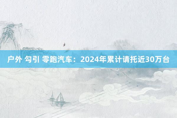 户外 勾引 零跑汽车：2024年累计请托近30万台
