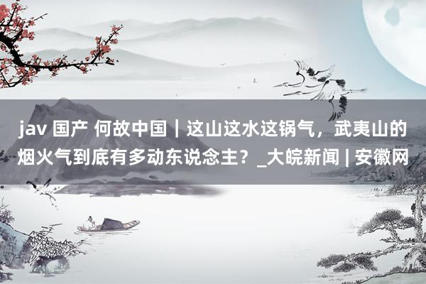 jav 国产 何故中国｜这山这水这锅气，武夷山的烟火气到底有多动东说念主？_大皖新闻 | 安徽网