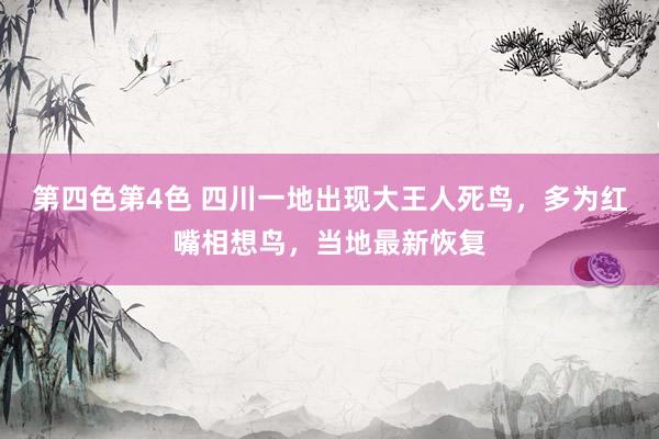 第四色第4色 四川一地出现大王人死鸟，多为红嘴相想鸟，当地最新恢复