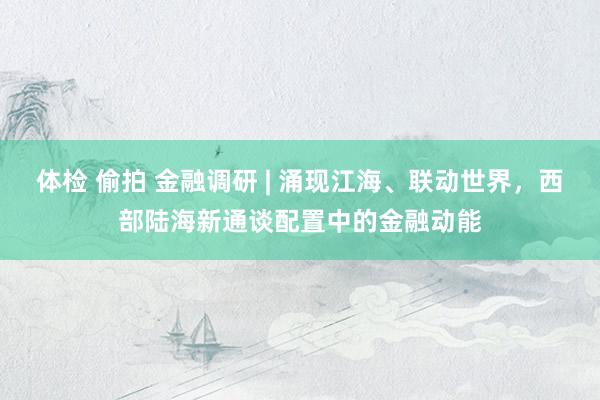 体检 偷拍 金融调研 | 涌现江海、联动世界，西部陆海新通谈配置中的金融动能