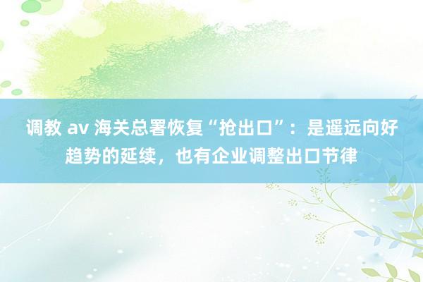 调教 av 海关总署恢复“抢出口”：是遥远向好趋势的延续，也有企业调整出口节律