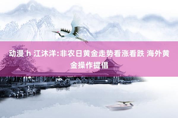 动漫 h 江沐洋:非农日黄金走势看涨看跌 海外黄金操作提倡