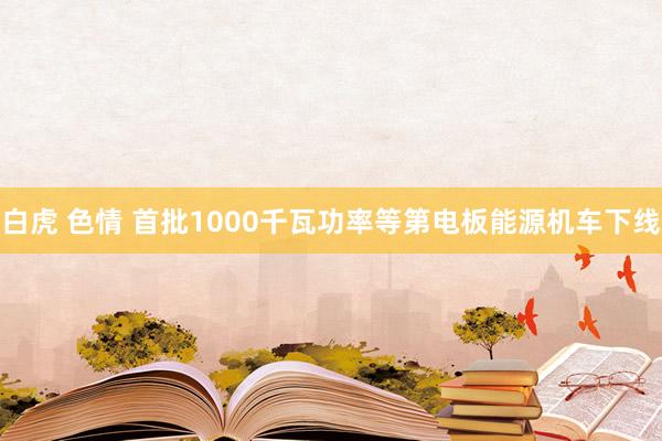 白虎 色情 首批1000千瓦功率等第电板能源机车下线