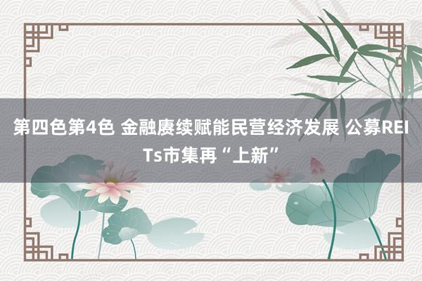 第四色第4色 金融赓续赋能民营经济发展 公募REITs市集再“上新”