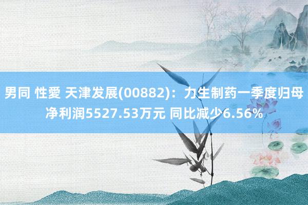 男同 性愛 天津发展(00882)：力生制药一季度归母净利润5527.53万元 同比减少6.56%