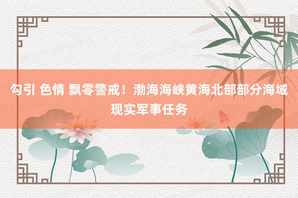 勾引 色情 飘零警戒！渤海海峡黄海北部部分海域现实军事任务